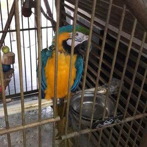 Meet your Posher, Grady